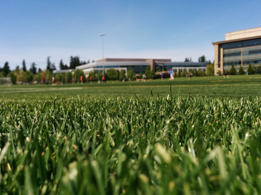 Sports field